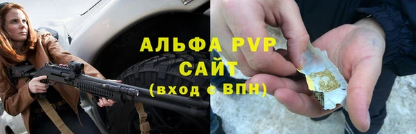 ешки Бородино