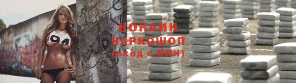ешки Бородино