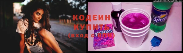 ешки Бородино