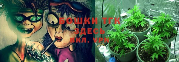 амф Бугульма