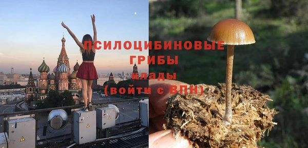 амф Бугульма