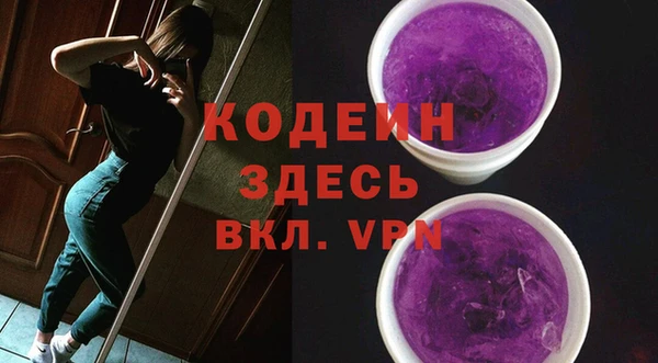 ешки Бородино