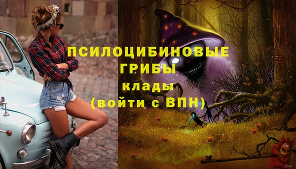 ешки Бородино