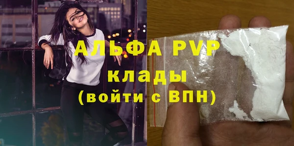 ешки Бородино